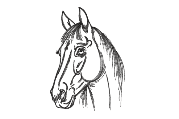 Sketch Horse Head – Single-Color Line